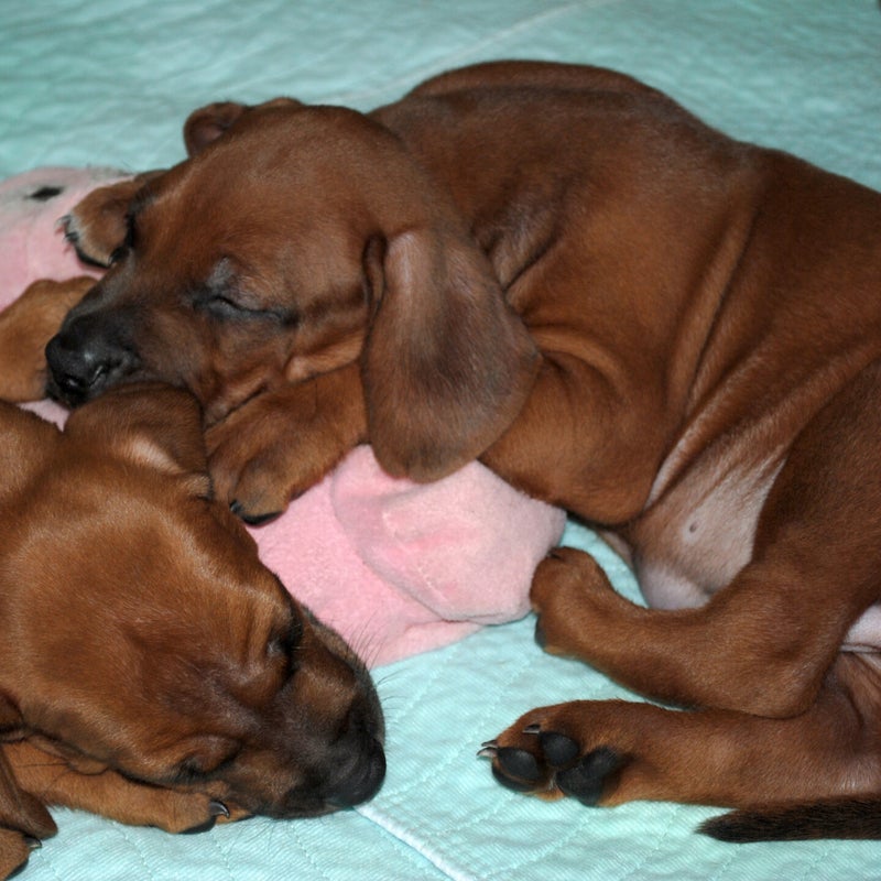 sleep18aug.jpg