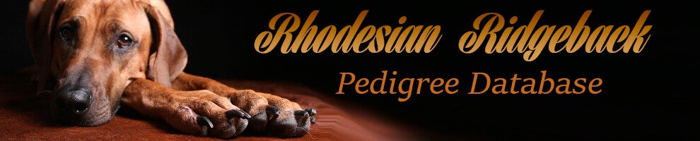 Y-nest 2025 Nandi / Pups | Uthando Rhodesian Ridgebacks