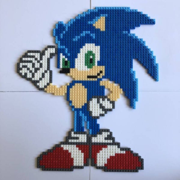 De snelste egel ooit!