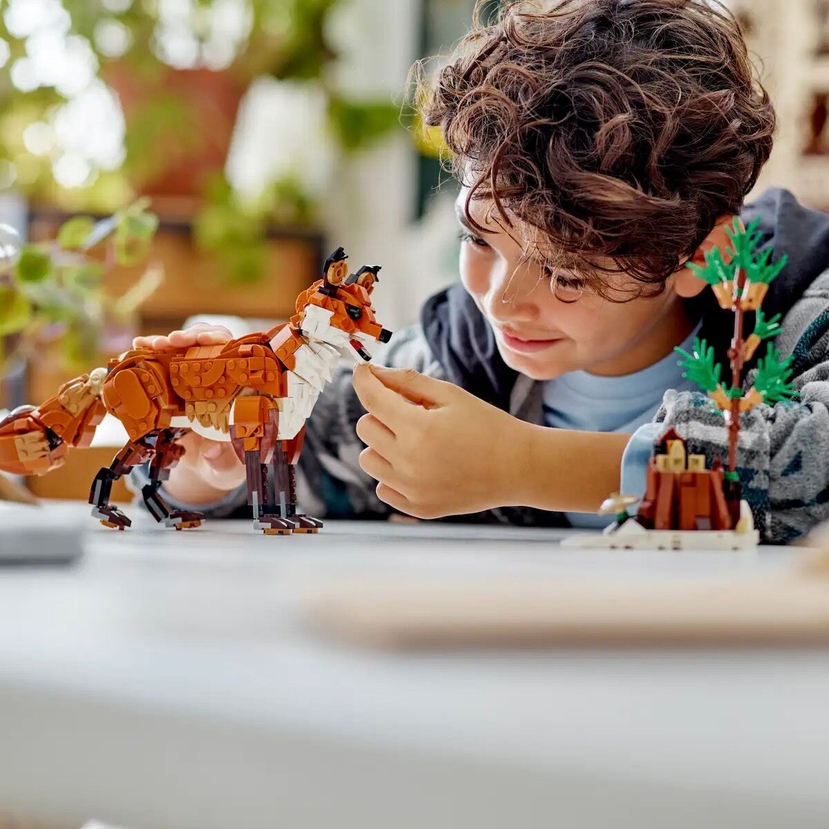 VAKANTIE dieren maandag 20 oktober