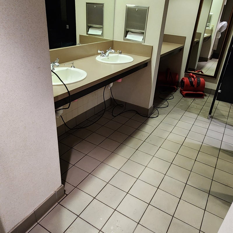 20230131_193224-standard.jpg