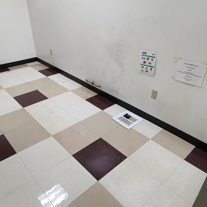 20240131_010048-standard-08lpb7.jpg