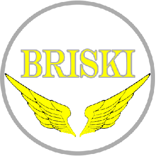 Briski dealer
