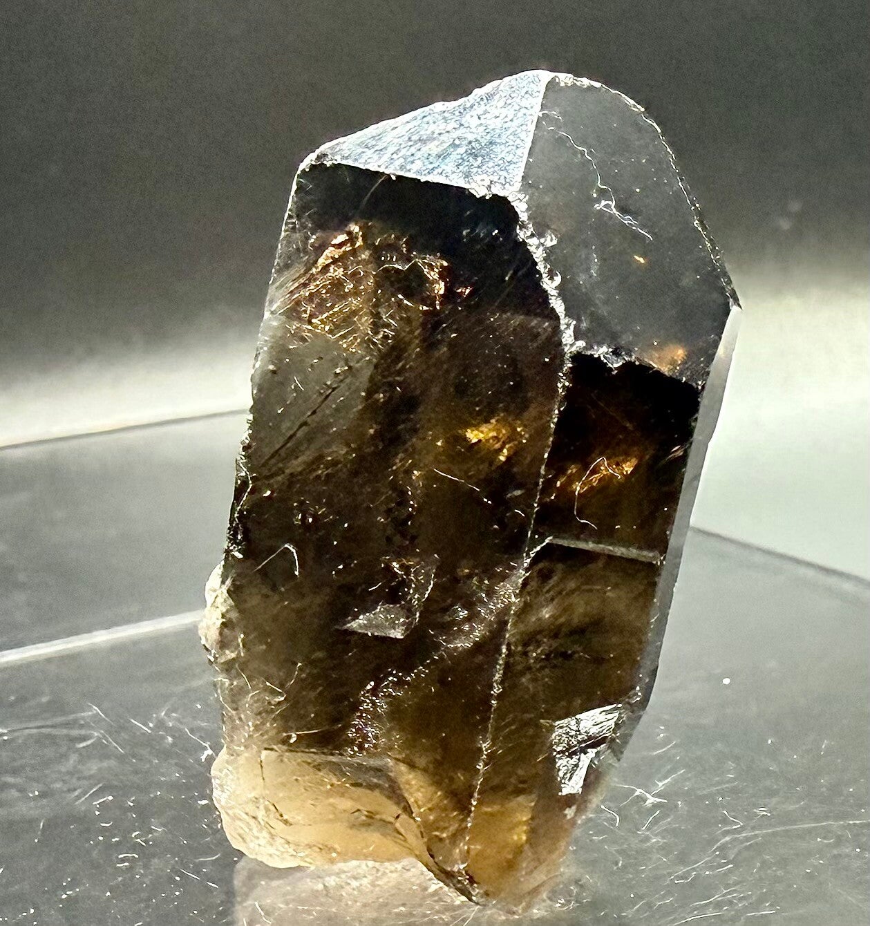 SL (Smokey Lemurian)