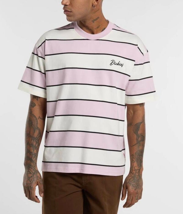 Camiseta Dickies