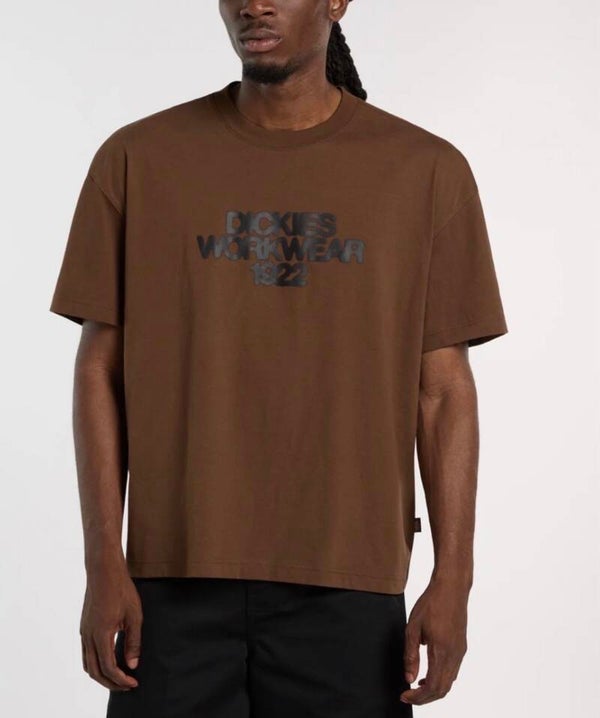 Camiseta Dickies