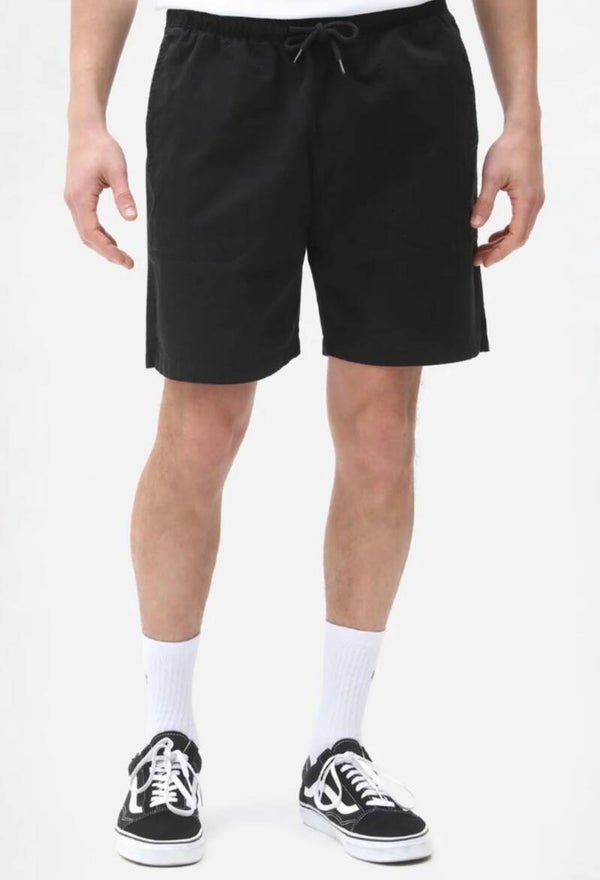 Pantalones corto Dickies