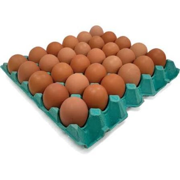 Jandee Farm Eggs 1Piece