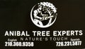 AnivalTree experts