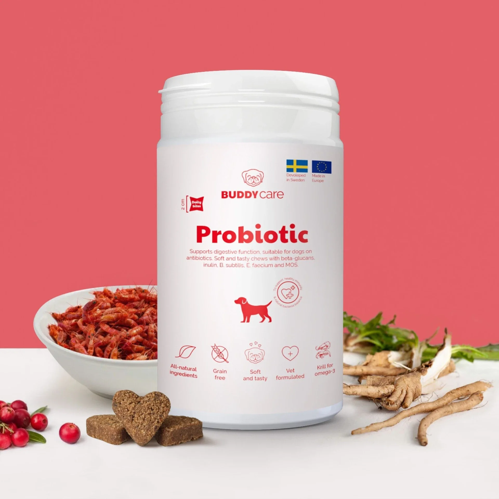 Buddy Care Probiotic 150 gr.