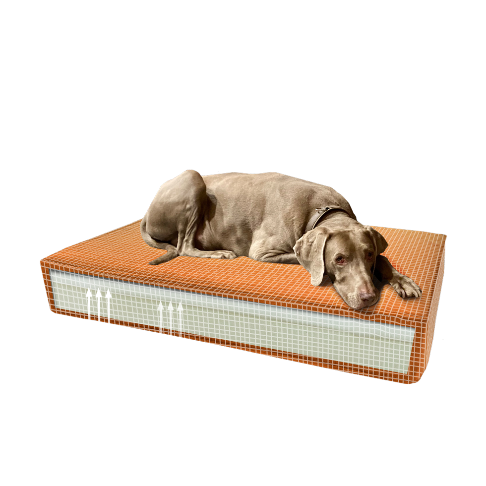 Madison Orthopedisch kussen Velvet oranje