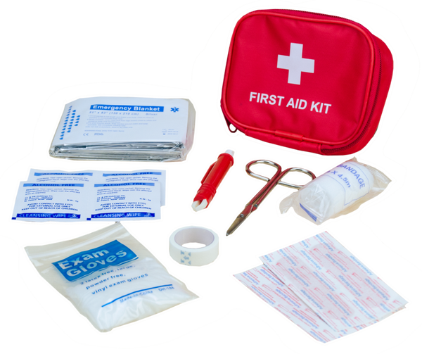 Pawise First Aid Kit