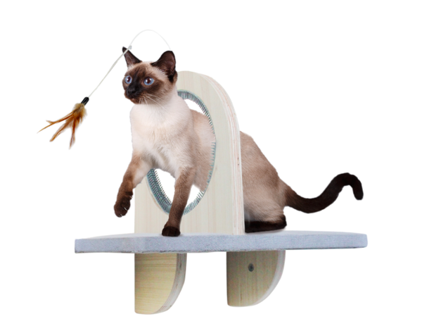 AFP Skywalk - Groom & Play Platform