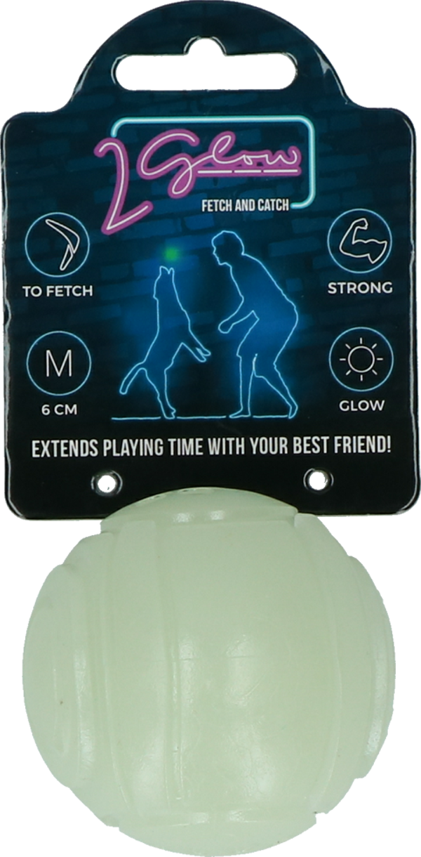 2 Glow Fetch and Play