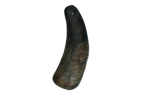Viking half Horn