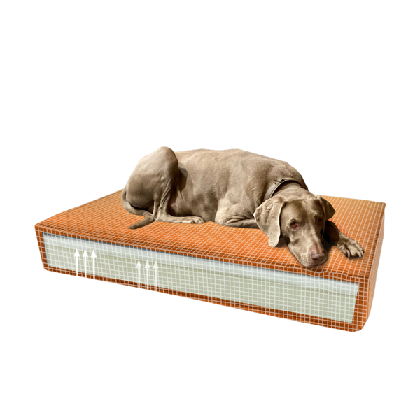 Madison Orthopedisch kussen Velvet oranje