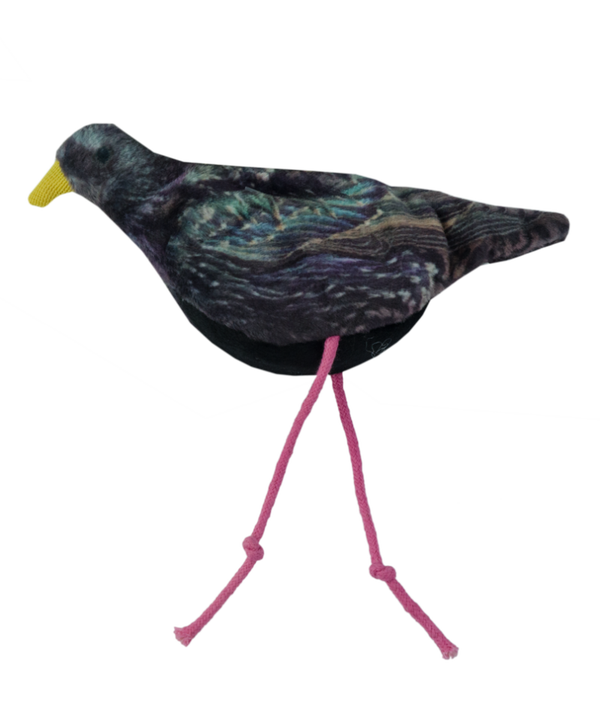 Wild Life Cat Spreeuw