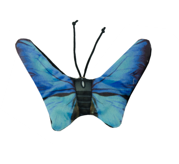 Wild Life Cat Blauwe Vlinder