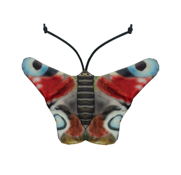 Wild Life Cat Dagpauwoog