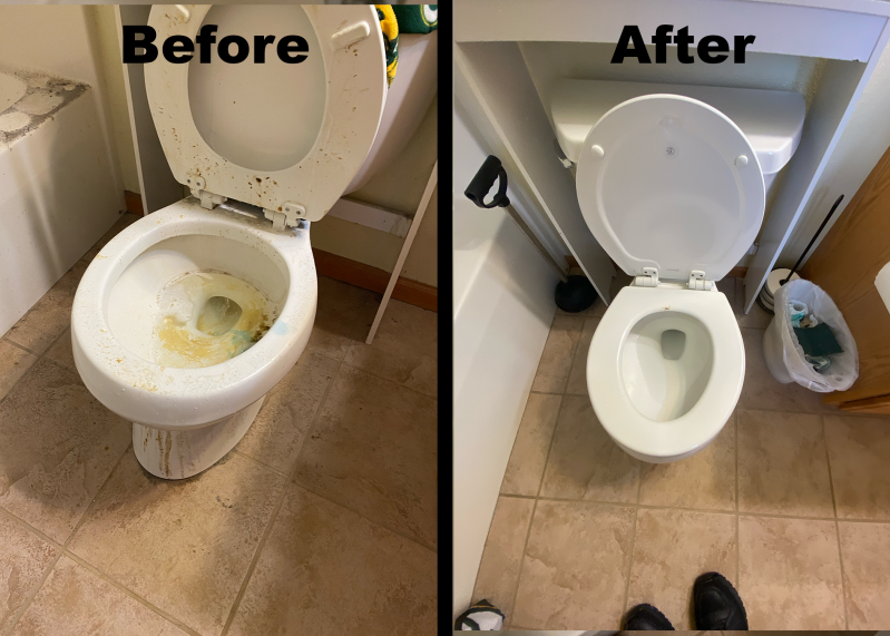 Toliet Cleaning