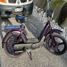 ciaoviolett4.jpg