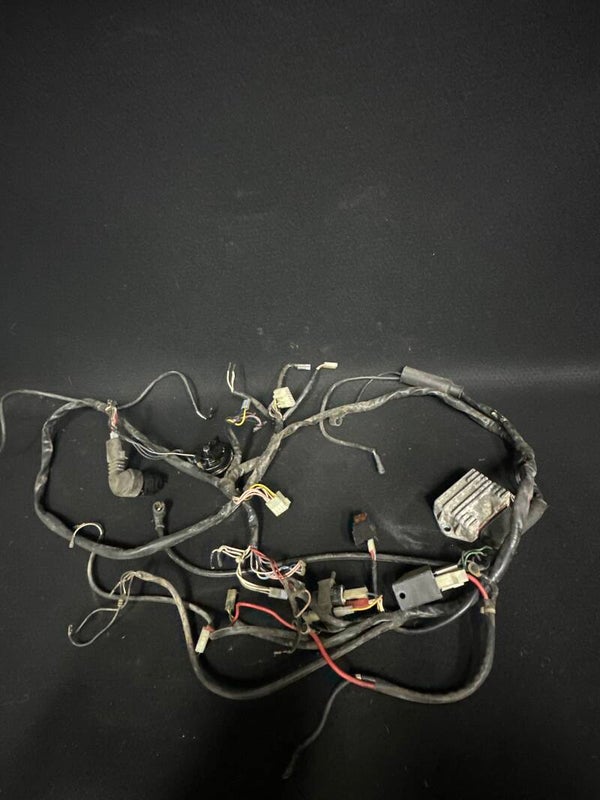 Piaggio quartz 50 cc Kabelboom