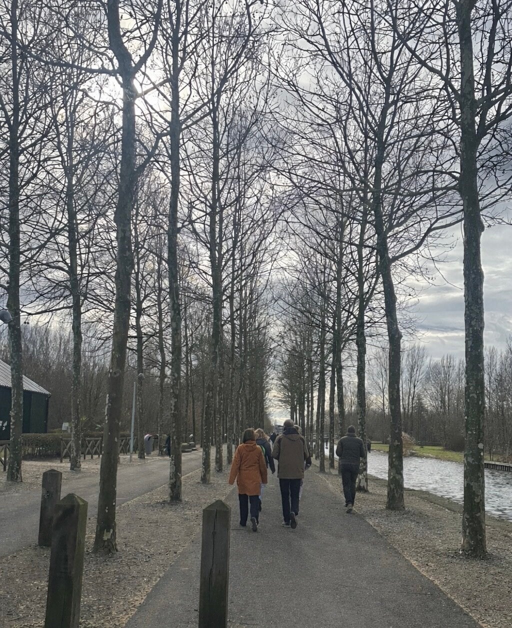 Walk & Connect – Ontspannen wandelen voor singles 50+ in Utrecht