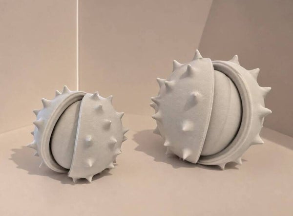 Decoratieve kastanjes groot en klein