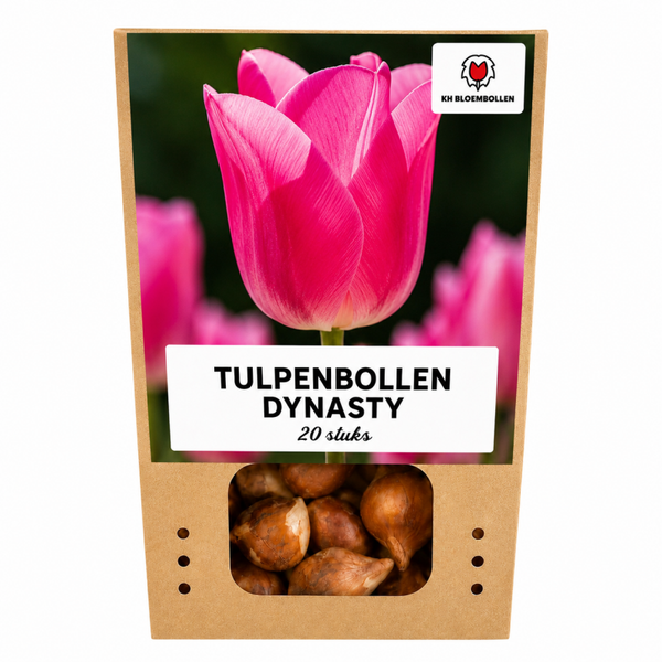 Dynasty tulp 20 stuks