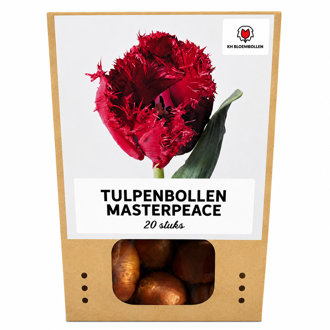 Masterpeace tulp 20 stuks
