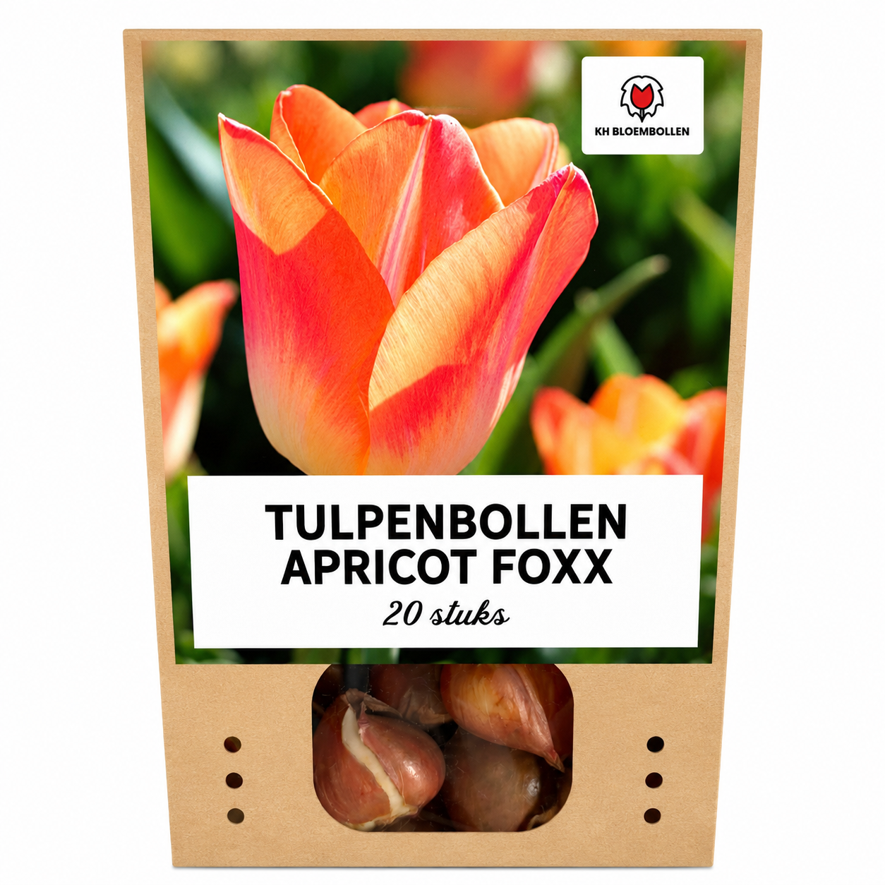 Apricott Foxx tulp 20 stuks