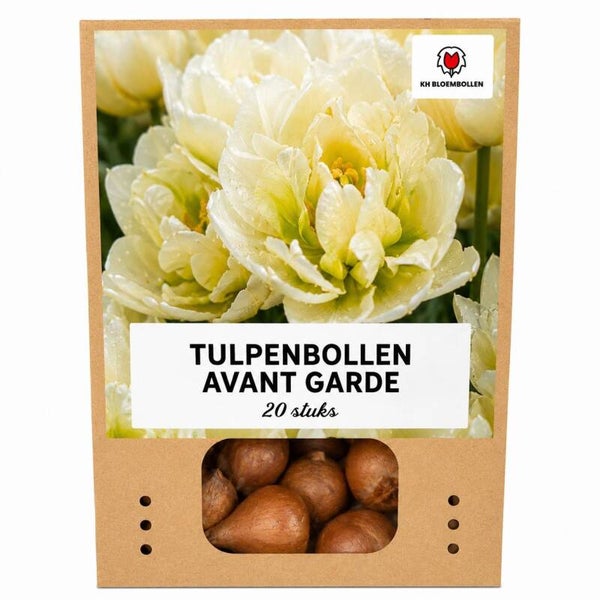 Avant Garde tulp 20 stuks