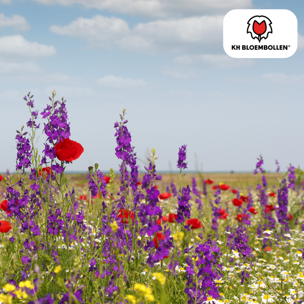Wilde bloemenzaden
