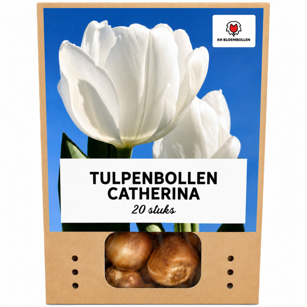 Catherina tulp 20 stuks