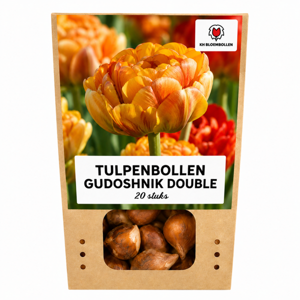 Gudoshnik Double tulp 20 stuks