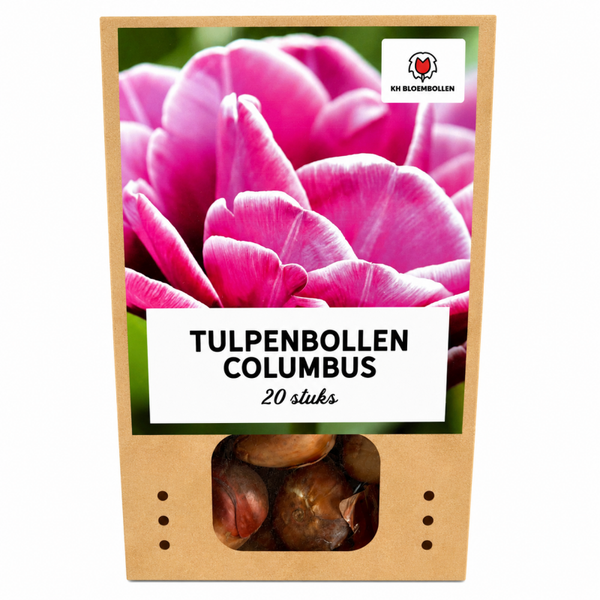 Columbus tulp 20 stuks