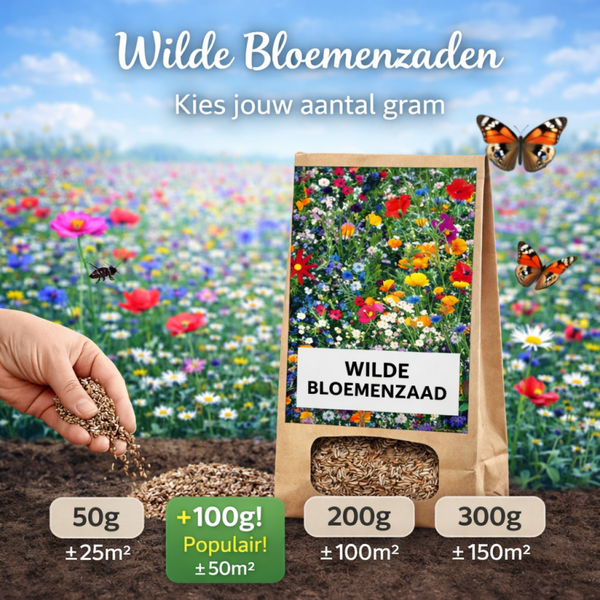 Koop hier uw wilde bloemenzaden