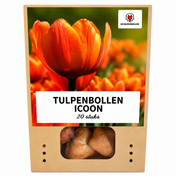 Icoon tulp 20 stuks