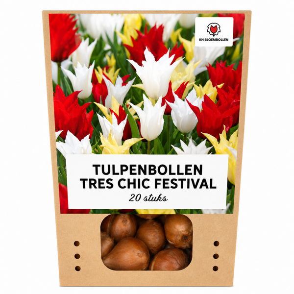 Tres Chic Mix tulp 20 stuks