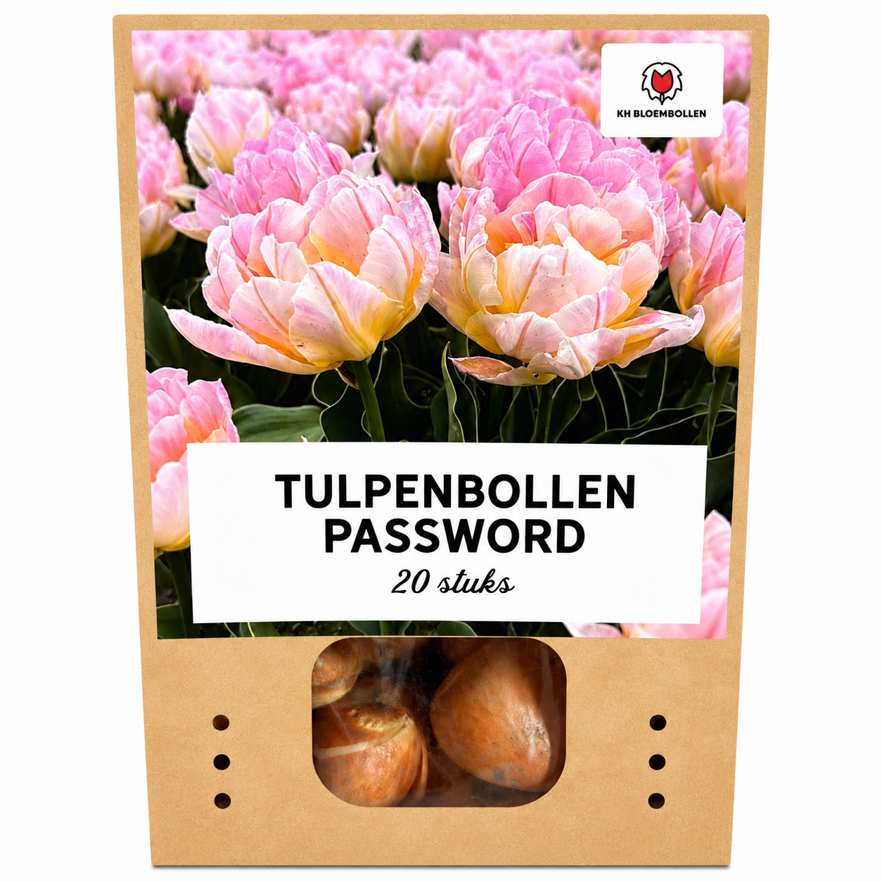 Password tulp 20 stuks