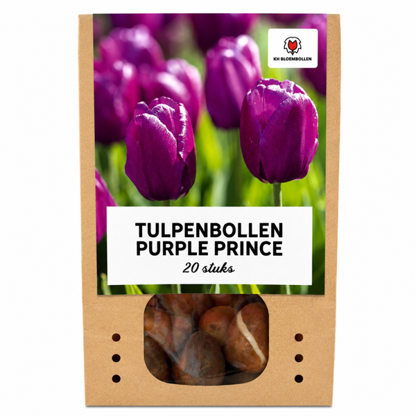 Purple Prince tulp 20 stuks