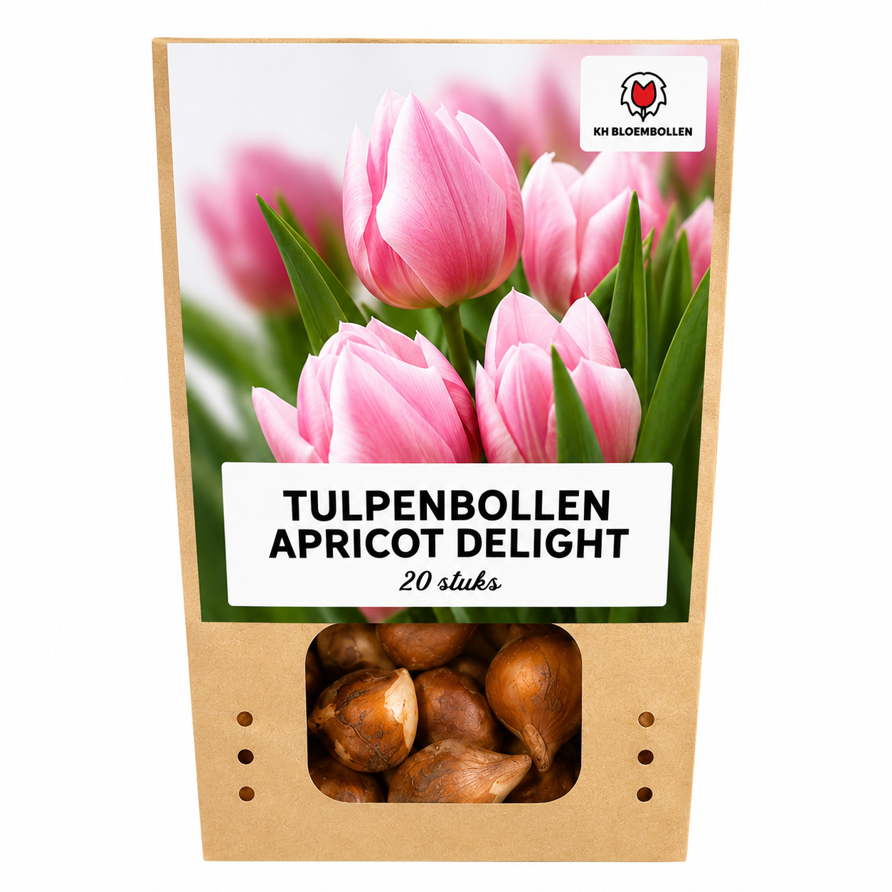 Apricot Delight tulp 20 stuks