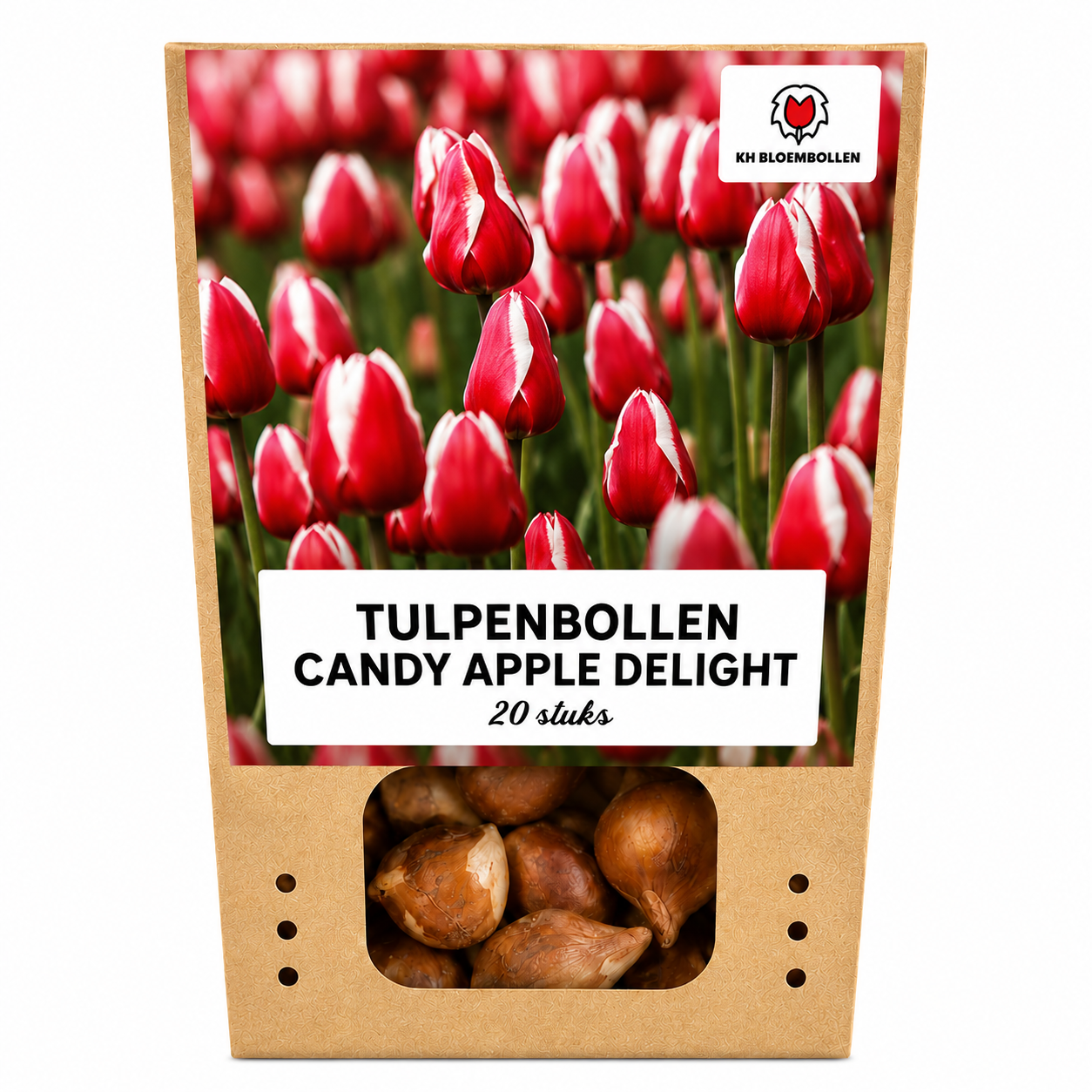 Candy Apple Delight tulp 20 stuks