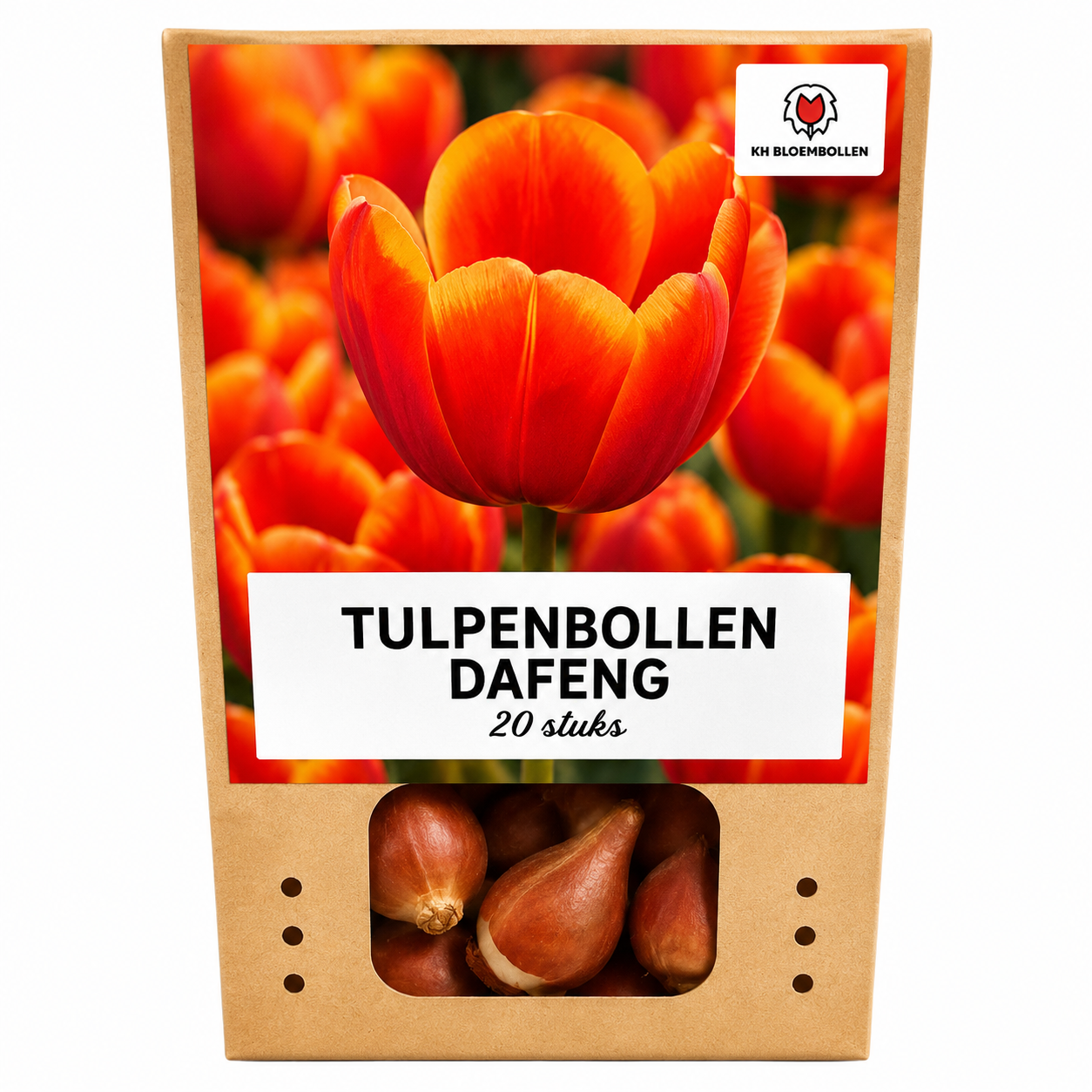 Dafeng tulp 20 stuks
