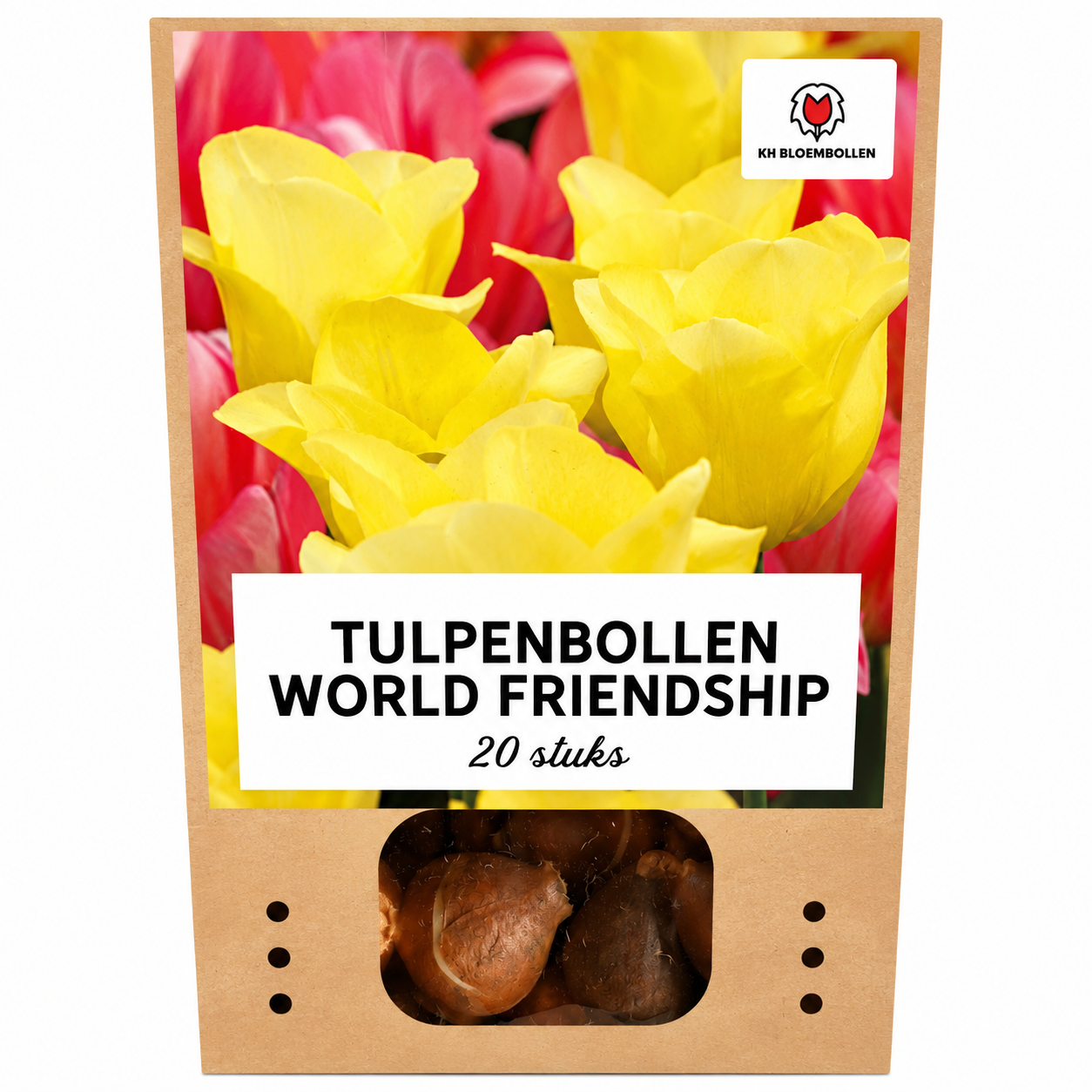 World Friendship tulp 20 stuks