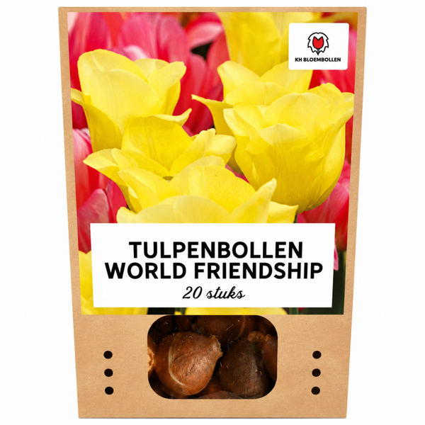 World Friendship tulp 20 stuks