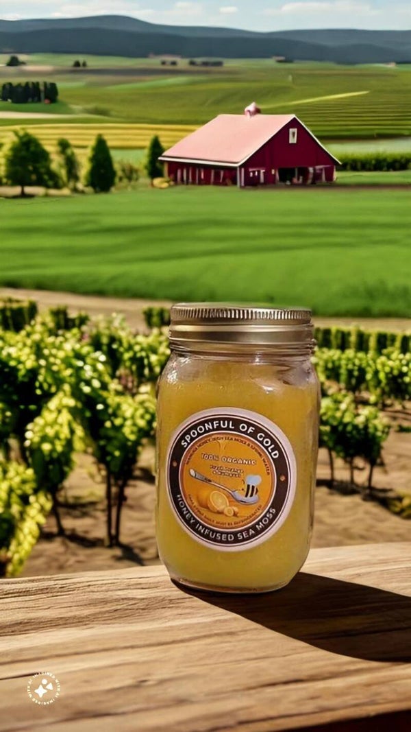 #2 Most Popular Orange Infused Sea Moss Gel