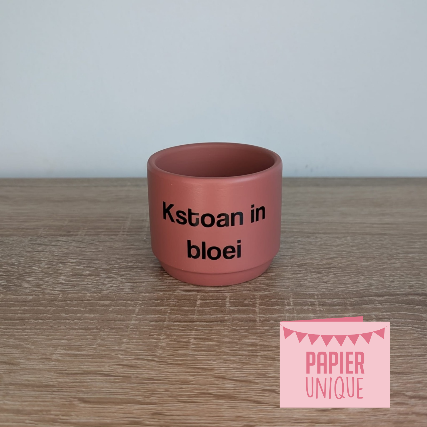West-Vlaams bloempotje - kstoan in bloei