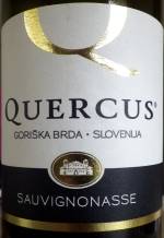 1QUERCUSSAUVIGNONASSE.jpg