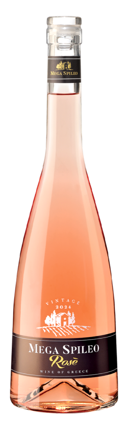 6-mega-spileo-rose-standard.png